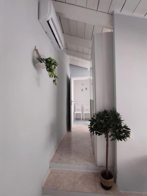 Apartamento Free Parking Tiny House Wifi Netflix 15 Minuti Dal Duomo Milán Exterior foto